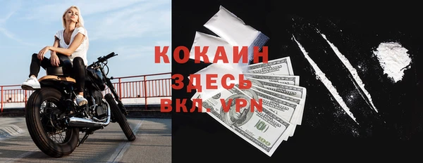 индика Белоозёрский