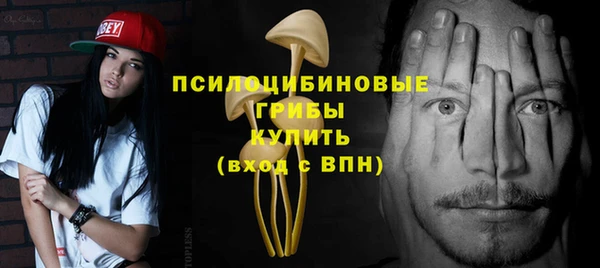индика Белоозёрский