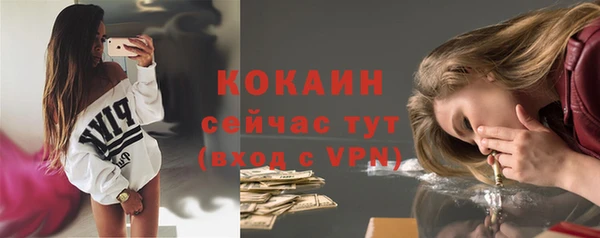 индика Белоозёрский