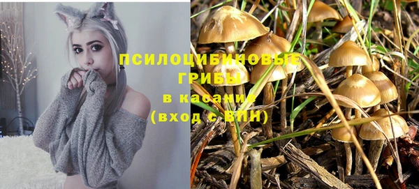 mix Белокуриха