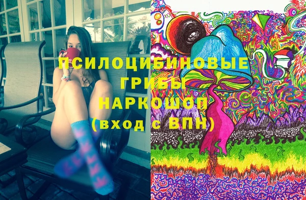 индика Белоозёрский