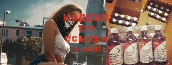 индика Белоозёрский